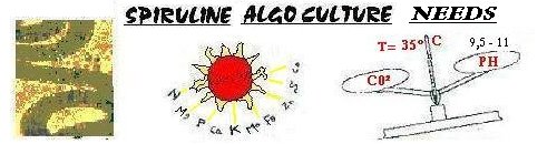 inoculum, sun, nutriment, scale