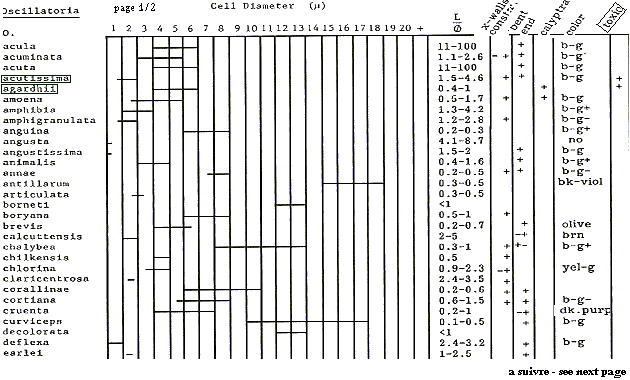 Oscillatoriacae, and Spirulina platensis identification keys