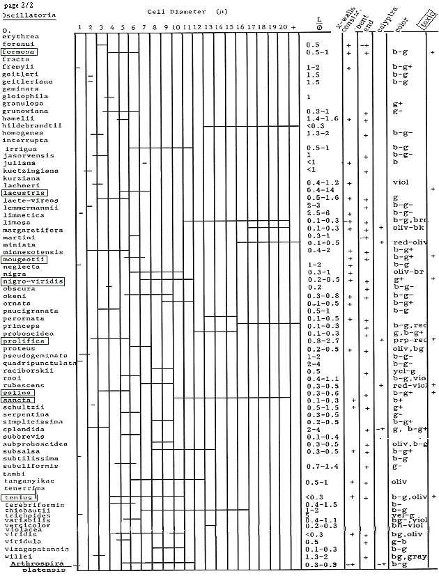 Oscillatoriacae, and Spirulina platensis identification keys