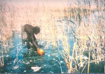 Recolte de spiruline sur le Lac Rombou