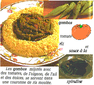 site et bassins