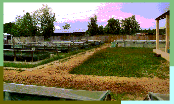 site et bassins